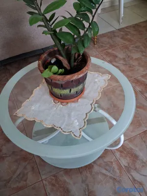 decoración y accesorios - Venta de artículos para el hogar usados.
velas artesanales y jabones artesanales 4