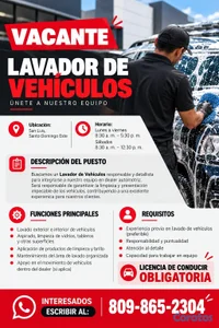 LAVADOR DE VEHICULO CON LICENCIA