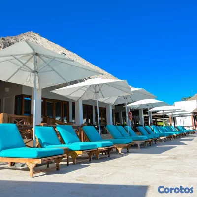 apartamentos - Studios y Apartamentos en Venta en Punta Cana — de 9