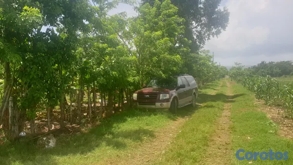 solares y terrenos - Terreno en Sabaneta de Yasica a 7 minutos de cabar 11