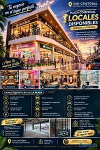 LOCALES COMERCIALES 