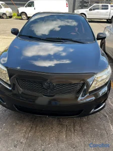 Toyota Corolla LE 2010