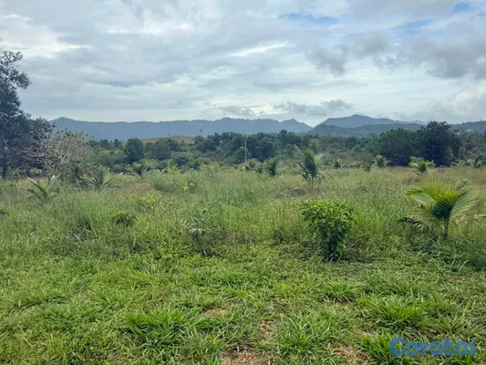 solares y terrenos - 625,000 la tarea⛰️🏞Tu escape a la Naturaleza 🏕 3