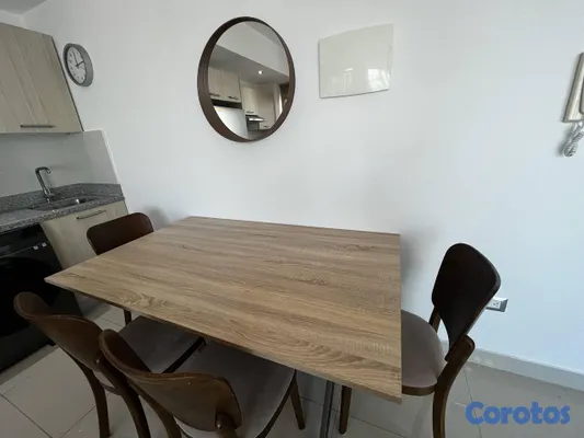 apartamentos - Apartamento en Alquiler en Piantini Amueblado de U 13