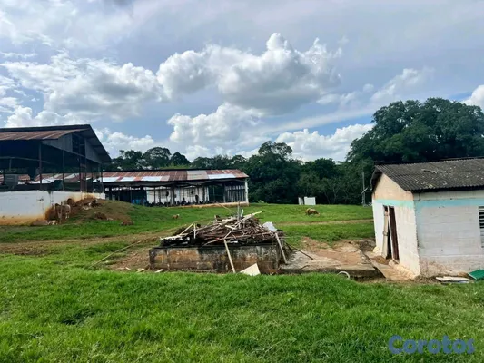 solares y terrenos - finca de criadero de animales en maimon 19