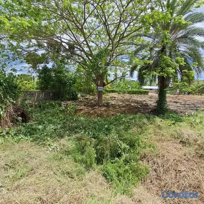solares y terrenos - TERRENO EN VENTA – LAS PALOMAS, SANTIAGO 5