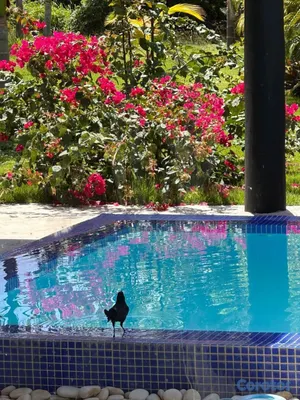 casas vacacionales y villas - Magnífica Villa en Green Village Cap Cana Totalmente Amueblada y Equipada 13