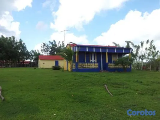 solares y terrenos - Finca en higue en el cerro 1356 mts2 tareas ID 883 4