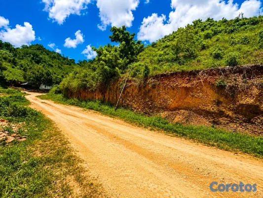 solares y terrenos - Solar 314 m² en Hoyo del Cacao, Las Terrenas

Precio: US$26,000 4