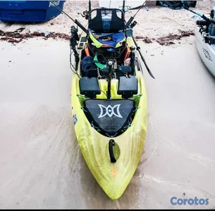 Kayak Perception Pro 