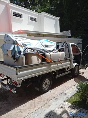servicios profesionales - Mudanza y acarreo  2
