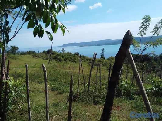 solares y terrenos - se vende en samana playa ricon 2