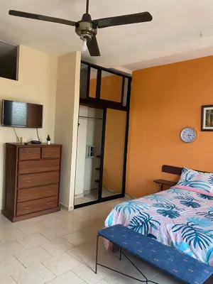 apartamentos - Apartamento amueblado de 1 habitación en la Zona Colonial, Santo Domingo 5