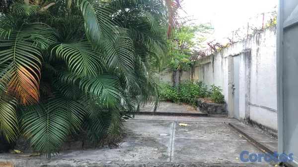 casas - Vendo casa clásica en Gazcue 6