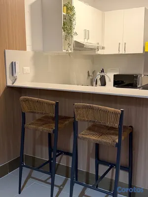 apartamentos - atención aerolíneas y empresas privadas  Apartamento Punta Cana-Bavaro  18