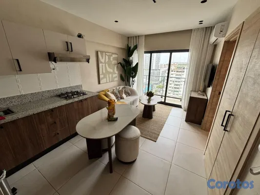apartamentos - Alquiler Apartamento Amueblado En Naco 2