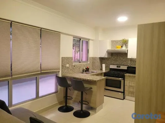 apartamentos - Alquiler de apartamento amueblado de 2 habitacione 6