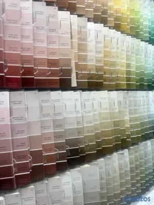 decoración y accesorios - Pintura arquitectónica  tinteada - varios colores 2