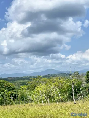 solares y terrenos - SEMBRADÍO DE COCOS CON VISTA PRIVILEGIADA 🌴🌅 3