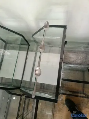 negocios en venta - vitrina pequeña para emprender 
contáctanos y la hacemos ha tu medida o te recom 18