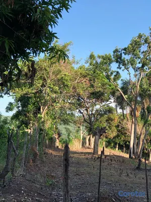 solares y terrenos - SOLARES EN VENTA EN MATUA, KM 22 DE LA AUTOPISTA DUARTE 9