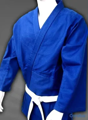 Artículos Deportivos - Uniforme de Judo Azul  Rhingo 2
