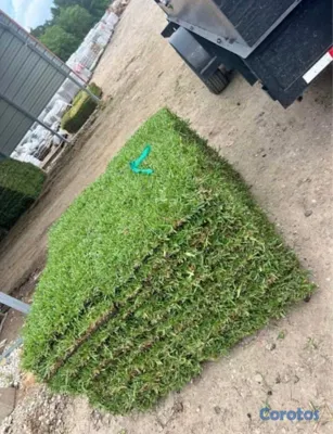 herramientas, jardines y exterior - Vendo todos tipos de paletas de zacate.

San Agustín 
Bermuda.
Zoysia.
 3