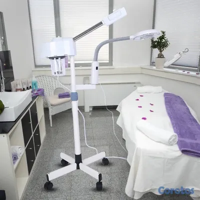 Salud y Equipamiento Médico - vaporizador facial ozono  4