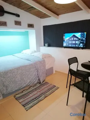 apartamentos - APARTAESTUDIO AMUEBLADO EN ALQUILER | PIANTINI 3