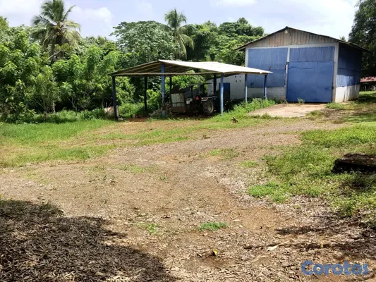 solares y terrenos - finca de 3000 tareas con vocación agrícola en Monte Plata  17
