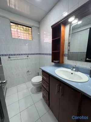 apartamentos - Apartamento vista al Botánico  7