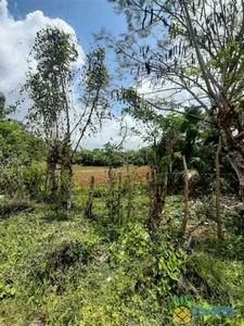 Parcela 12,319m2 con Titulo y deslinde , en Pedro Brand (km22 Autopista Duarte)