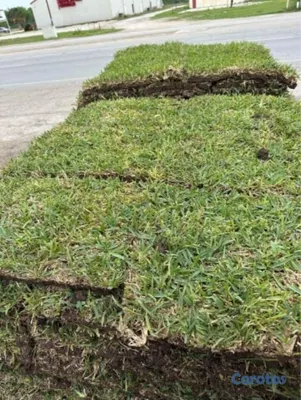 herramientas, jardines y exterior - Vendo todos tipos de paletas de zacate.

San Agustín 
Bermuda.
Zoysia.
 16