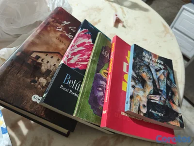 Gran variedad de libros desde 50 pesos