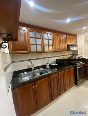 apartamentos - APARTAMENTO AMUEBLADO EN RENTA EN BELLA VISTA 4