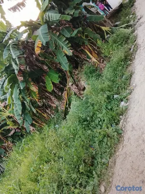 casas - Vendo casa con terreno solo acto de venta notariza 5