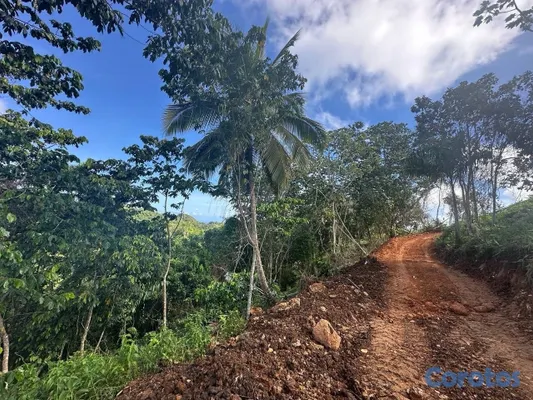 solares y terrenos - Solares con vista a la montaña en Las Terrenas – desde US$21,300 10