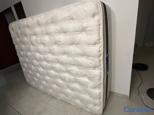 muebles y colchones - colchón Accord Serta Queen 2