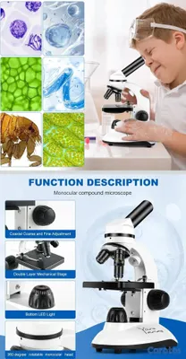 otros electronicos - Microscopio Profesional 3