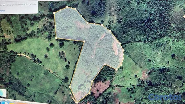 solares y terrenos - 🌱 ¡GRAN OPORTUNIDAD DE INVERSIÓN Y DESARROLLO! 🌳 2