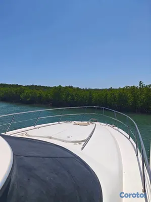 botes - Yate Sea Ray Sedan bridge 58" (Monte Cristi) Excelente Estado 6