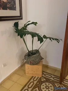 Trabajo doméstico con dormida en Santo Domingo