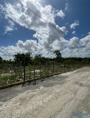 solares y terrenos - SOLAR EN VENTA EN AV. JACOBO MAJLUTA 2