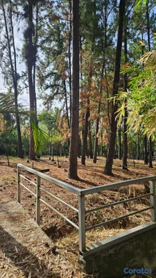 casas vacacionales y villas - Finca familiar en venta - Salamanca, Pedro Brand 9