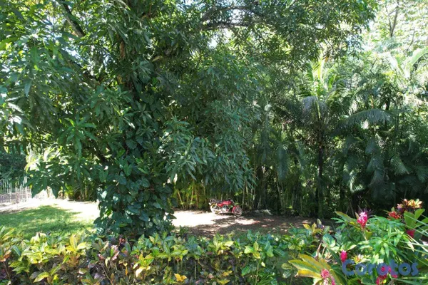 casas vacacionales y villas - Finca con casa rústica (mejora) 4