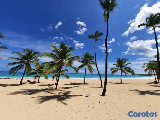 apartamentos - Residencias en Venta en Punta Cana — White Sands d 4