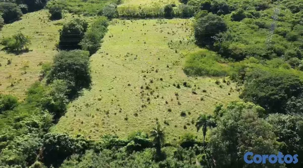 solares y terrenos - 18,800mts² Terreno/Solar en El Toro de Guerra, Carretera Mella 3
