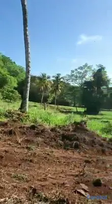 solares y terrenos - TERRENO EN VENTA | CARRETERA SAMANÁ–LAS GALERAS 4