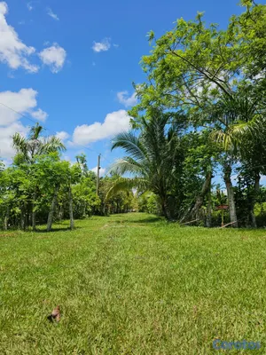 solares y terrenos - Se vende este terreno esta ubicado en bayaguana  6