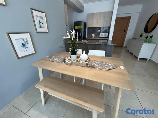 apartamentos - Apartamento en Alquiler en Naco Amueblado de UNA H 17